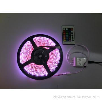 RGB 5050 SMD LED Strip Light